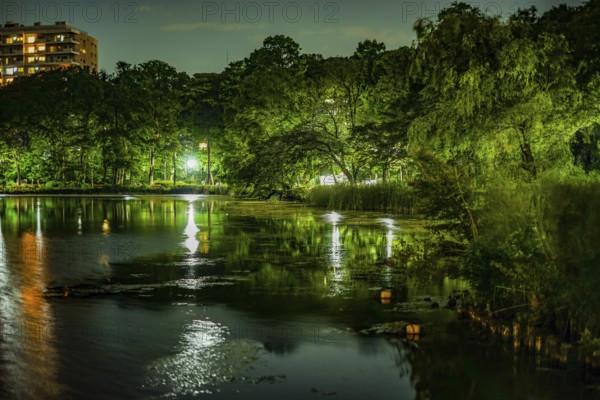 Night of the Inokashiro Park. Shooting Location: Tokyo Musashino City