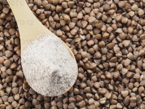 Buckwheat flour in wooden spoon and buckwheat grains. Whole-grain buckwheat flour on buckwheat grains background. Copy space. Top view or flat lay