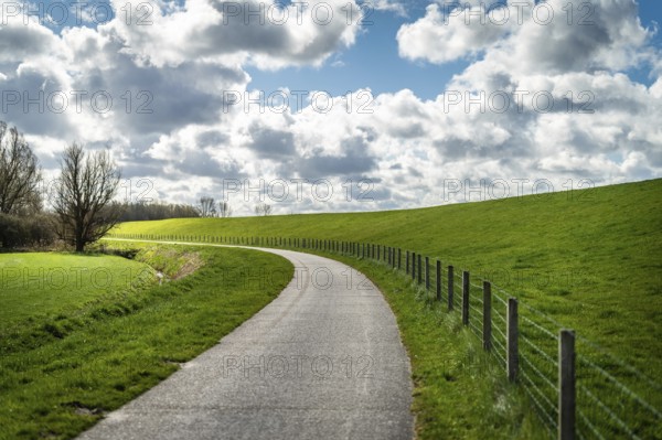An empty country lane winds along green meadows and a fence under a cloudy sky, cycle path, Leer, East Frisia, Lower Saxony