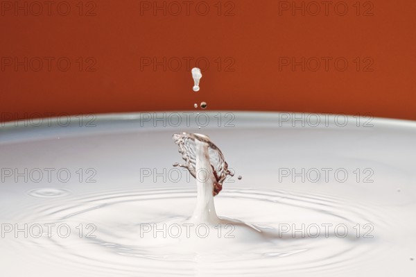 A drop hits a white liquid and creates a splashing movement, water droplets, collision, high-speed photography, concept