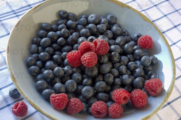 Blueberries and raspberries