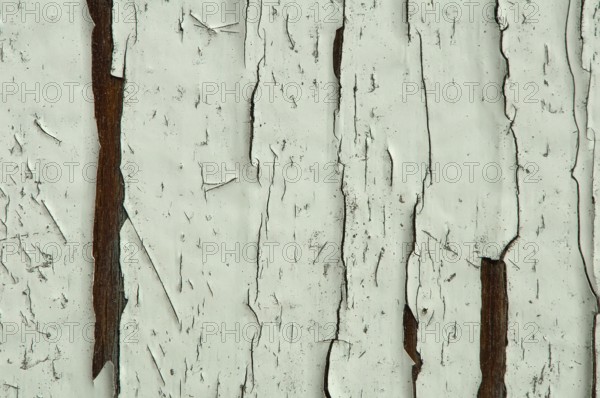 Cracked old painted white wooden wall