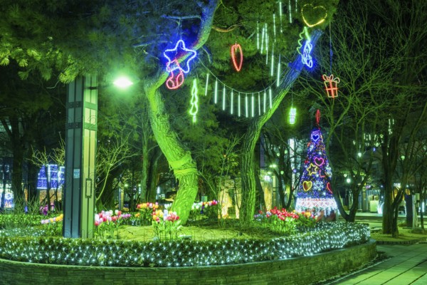 Taebeck, South Korea. January 29, 2019: Lights hanging from trees with Christmas tree in background during winter festival