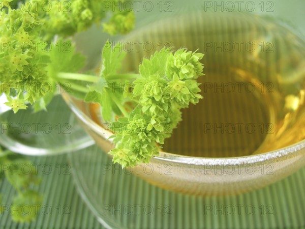 Women and woman's tea