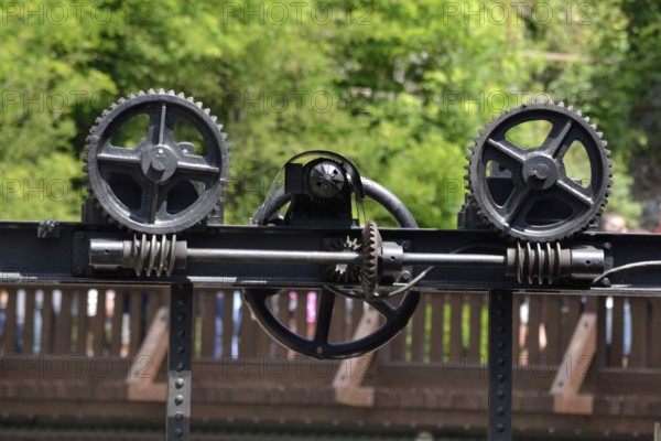Gear wheels and drive shaft