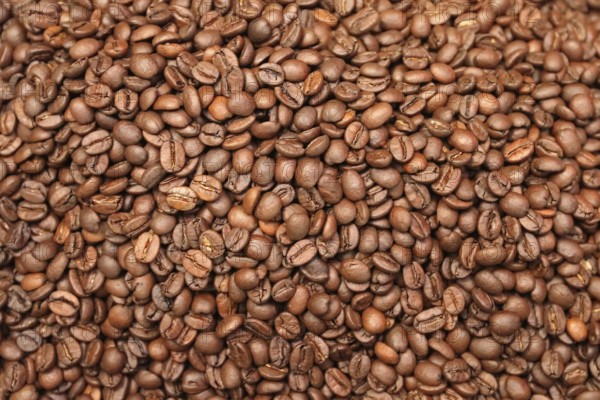 Coffee beans