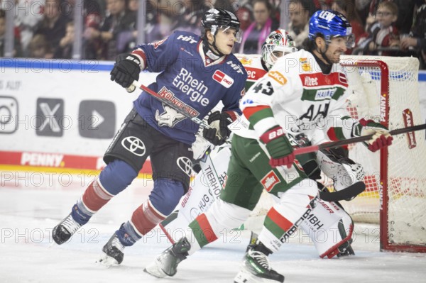 Laura Dick Cologne, LanxessArena, North Rhine-Westphalia, Tim Wohlgemuth (Cologne Sharks, #33), Leon van der Lime tree (Augsburg Panthers, #43), PENNY DEL, Cologne Sharks-Augsburg Panthers on 08.12.2024 at the LanxessArena in Cologne Germany