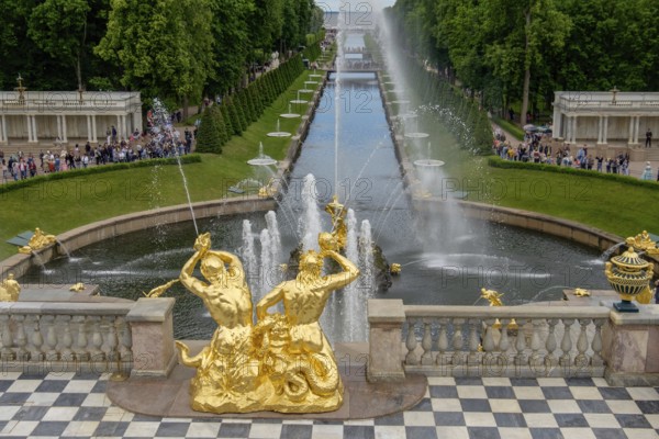 Magnificent garden fountain with golden sculptures and rising water jet, in the background strolling people and green areas, saint petersburg, baltic sea, russia