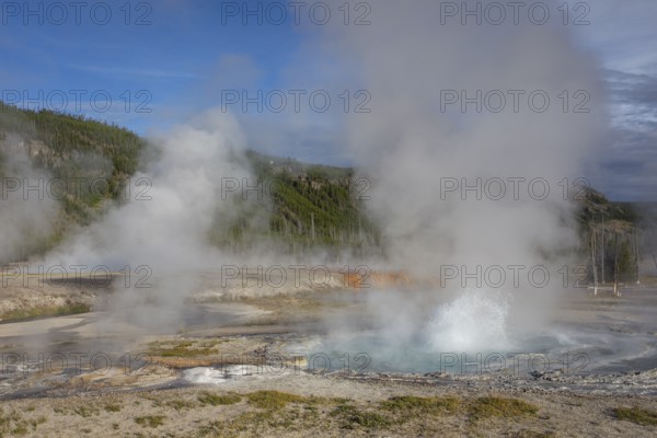 Geyser, Black Sand Basin, Yellowstone NP