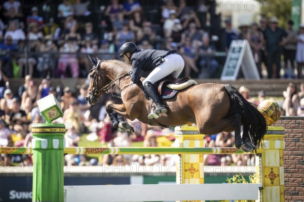 Max Kuhner of Austria riding Elektric Blue P compete in the first round of the 1.60m CPKC International during the Spruce Meadows Masters, presented by Rolex, in Calgary, Alberta, Canada, North America