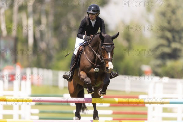 Amy Millar of Canada and riding Jagger HX, compete in the 1.60m Grand Prix during The Continental international competition at Spruce Meadows, in Calgary, Canada, North America