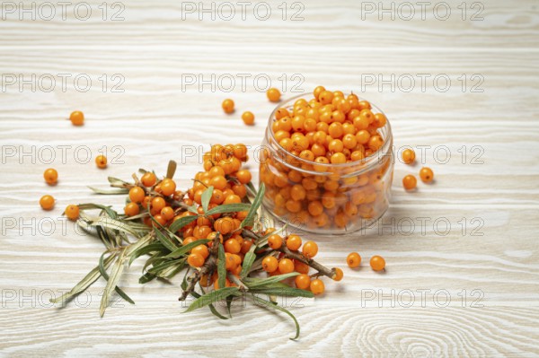 Sea buckthorn ripe berries in glass jar and branches with leaves top view on white wooden rustic background, great for skin, heart, vessels and immune system, food photography, food photography