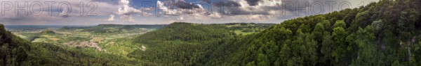 Forest landscape from the air