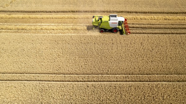 Grain harvest in a field near Recklinghausen