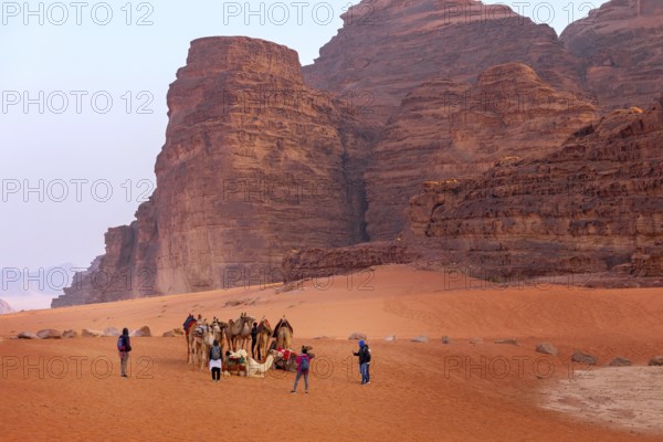 Jordan, Wadi Rum, November 2, 2022: Camels rest on the sand in the desert, people around. Sandstone rocks landscape, Asia