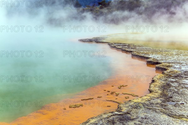 Thermal Wonderland of hot waters is Wai - O - Tapu. New Zealand, North Island. Picturesque lake of multicolored thermal waters evaporates in the air. The concept of active and phototourism