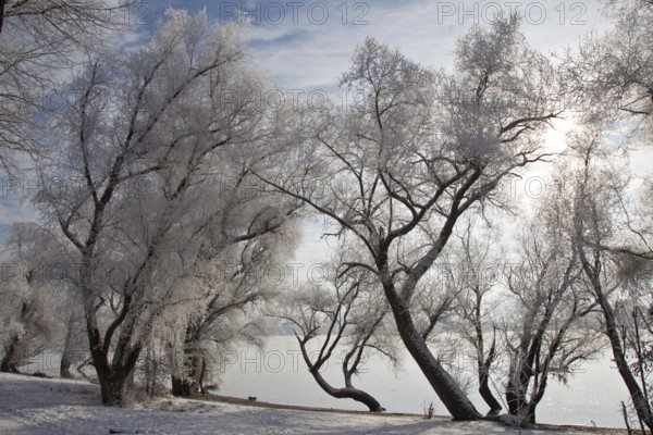 Danube landscape