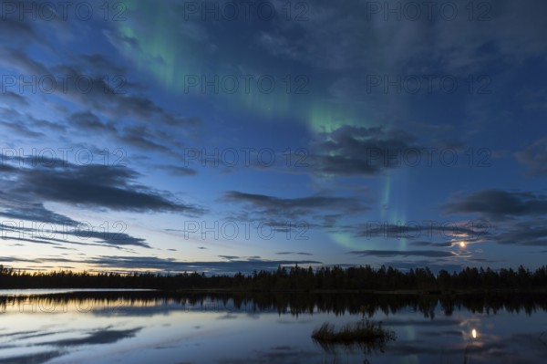 Northern Lights (Aurora borealis) over a forest lake, Norrbotten, Lapland, Sweden, August 2013, Europe