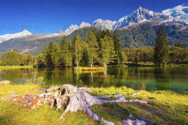 The mountain resort of Chamonix, Haute-Savoie. City Park is illuminated by sunset. The lake reflected the snow-capped Alps and evergreen spruce