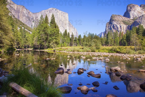 Beautiful day in the park valley. Yosemite Park is located on the slopes of the Sierra Nevada. Charming El Capitan and trees is reflected in the smooth water of little lake