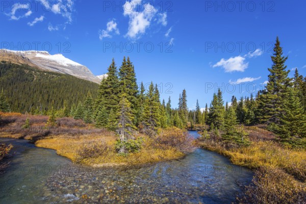 The blue sky is reflected in the water. Picturesque puddles around Bow Lake. Alberta. Cold sunny day. The majestic Rocky Mountains of Canada
