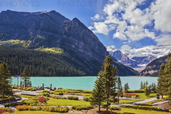 Banff National Park, Rocky Mountains, Canada. Flowers on the embankment of glacial Lake Louise. Emerald Lake is surrounded by mountains, glaciers and pine forests