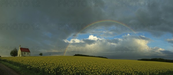 Panorama, chapel and rainbow over a rapeseed field