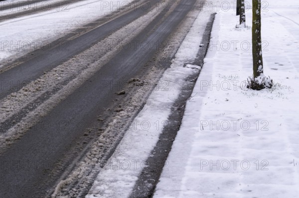 Fresh snow covering a road and sidewalk next to trees in winter