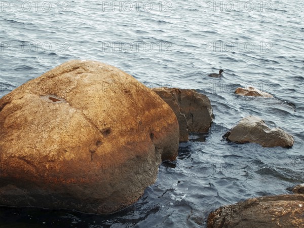 Red granite stones in the water with ripples