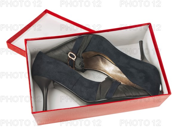 Woman classic shoes in the box over white background