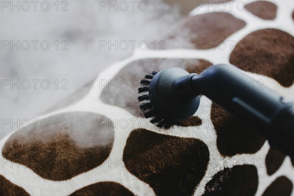 A steam cleaner with a brush head cleaning a giraffe-patterned surface
