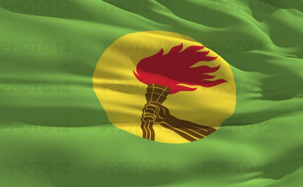 Fluttering flag of Zaire on the wind