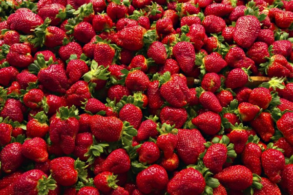 Basket of fresh strawberries at a market