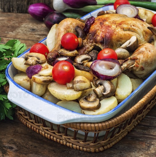 Young chicken baked with potatoes, mushrooms and vegetables in the baking dish.Photo tinted.Selective focus