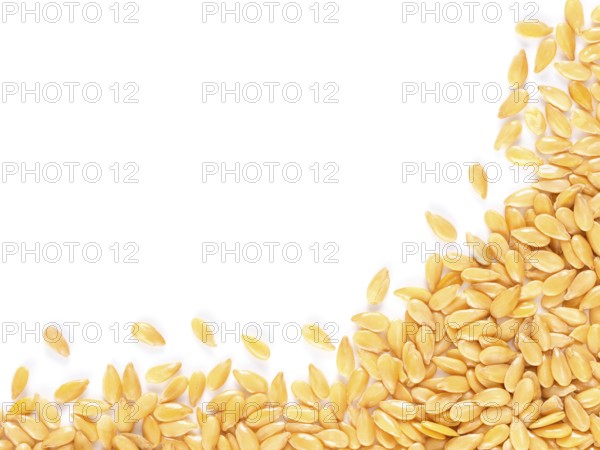 Golden flax seed with copy space. Isolated one edge. Top view or flat lay