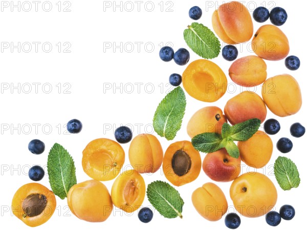 Apricot, blueberry and mint, isolated