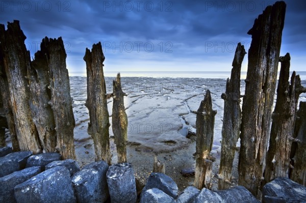 Wooden dike and mud at low tide on north sea