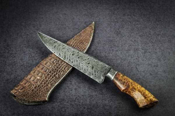 Beautiful luxurious utility knife in Texas Wind damask pattern with noble wood handle on dark background