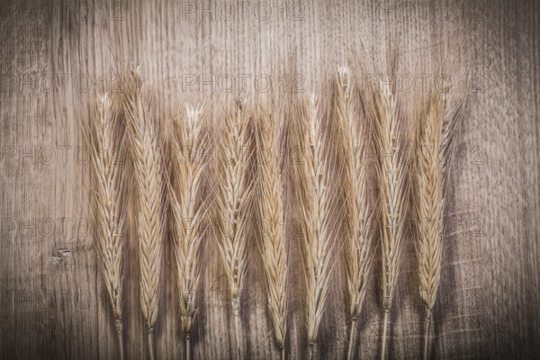 Ripe wheat and rye ears on wooden board food and drink concept