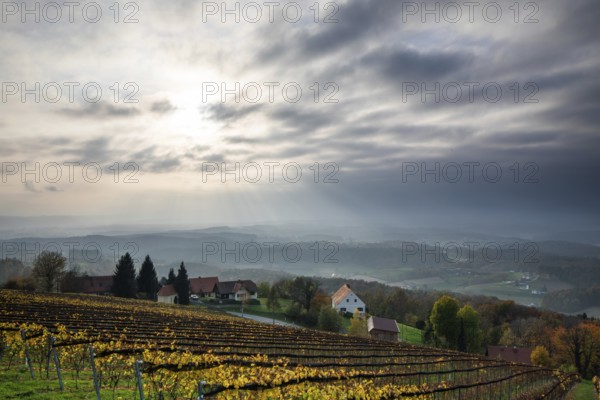 Autumn atmosphere, sunlight breaking through clouds, foliage colouring in the vineyard, St.Andrä-Höch, Sausal, Styria, Austria, Europe