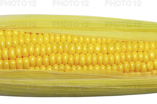 Ripe fresh organic sweet corncob with leaf closeup background