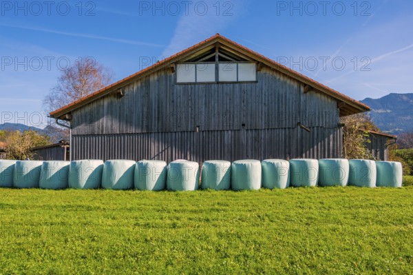 Barn with grass in round bales, round bale silage, on the Schweineberg, blue sky, near Ofterschwang, Allgäu, Bavaria, Germany, Europe