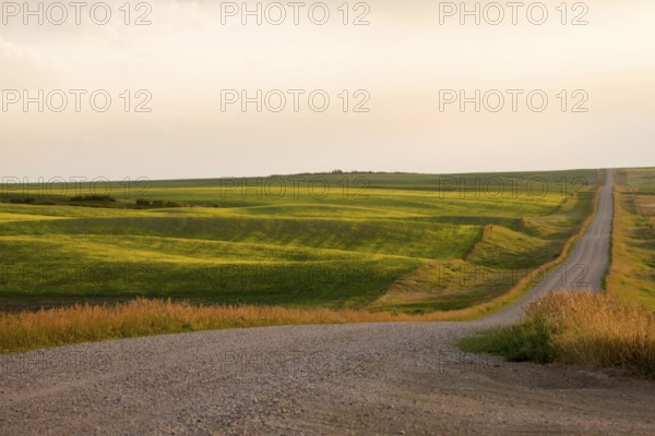 Prairie Scene Saskatchewan summer crop harvest Canada