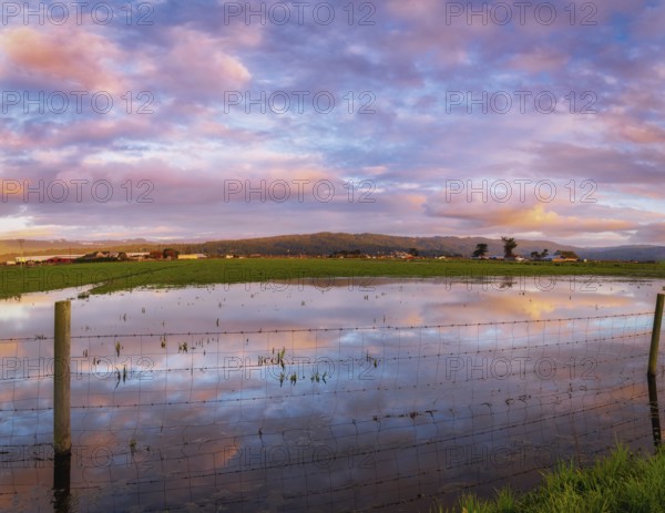A barbed wire fence crosses a flooded pasture at sunset., Northern California, USA, North America