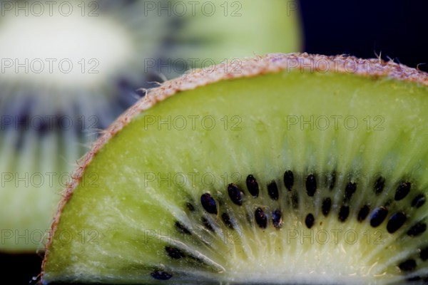Kiwi Fruit Macro studio shot close up green