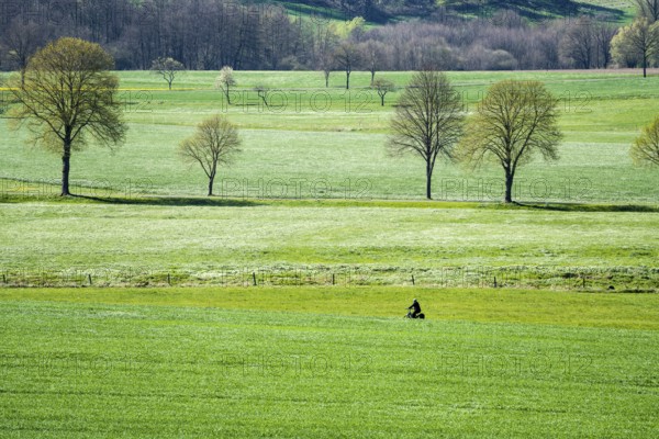 Cycle Route R1, near Gewissenruh, Wesertal, Weserbergland, Hesse, Germany, Europe