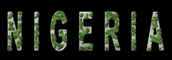 Nigeria Reforestation and Climate Message, Sustainable Green Typography, Green Agenda
