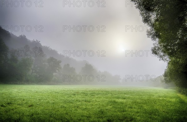 Morning atmosphere with fog