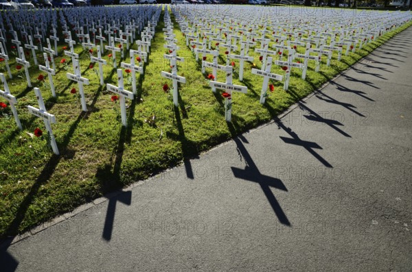 A field of crosses represents those who died in the Great War for a memorial on Anzac Day in Christchurch, New Zealand, 2018, Oceania