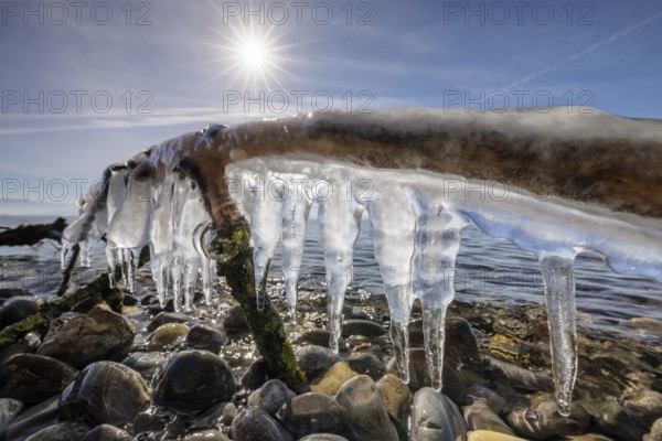 Strong sun shining over icicles hanging from a branch over stones, harbour, Gohren, Lake Constance, Baden-Württemberg, Germany, Europe